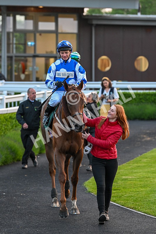 310524-Race 6-Mister Sox-9101 - Race 6