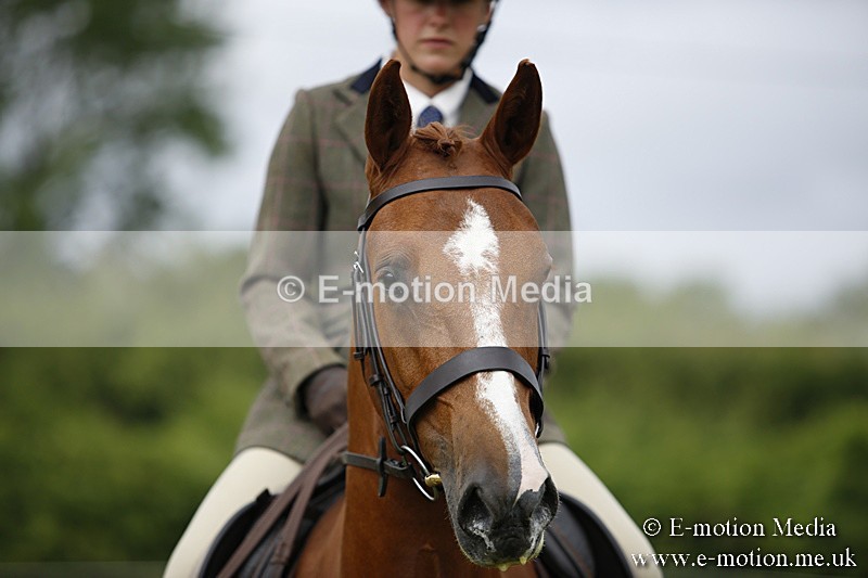 BVR160717-317 - Ring 1 BVRC Show 16/07/17