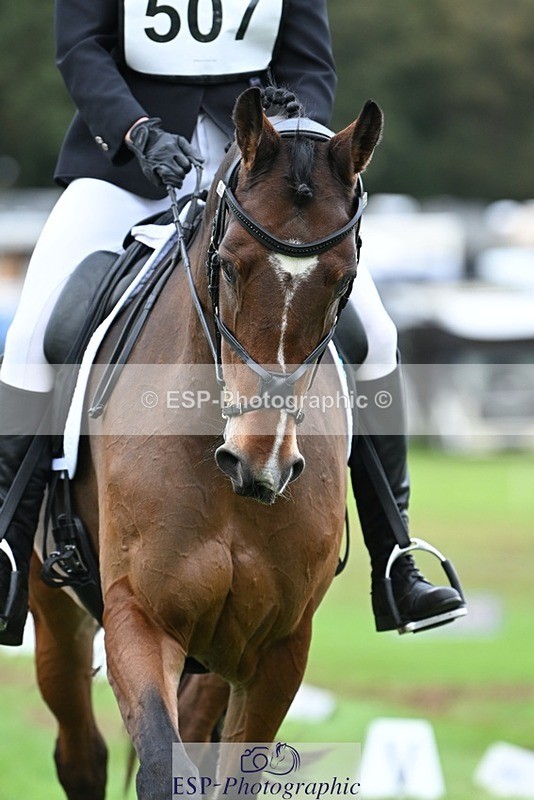 231020-153832-11232 - 507-EDGEDALE.BLUE.LADY-Katie.Lavin-DR