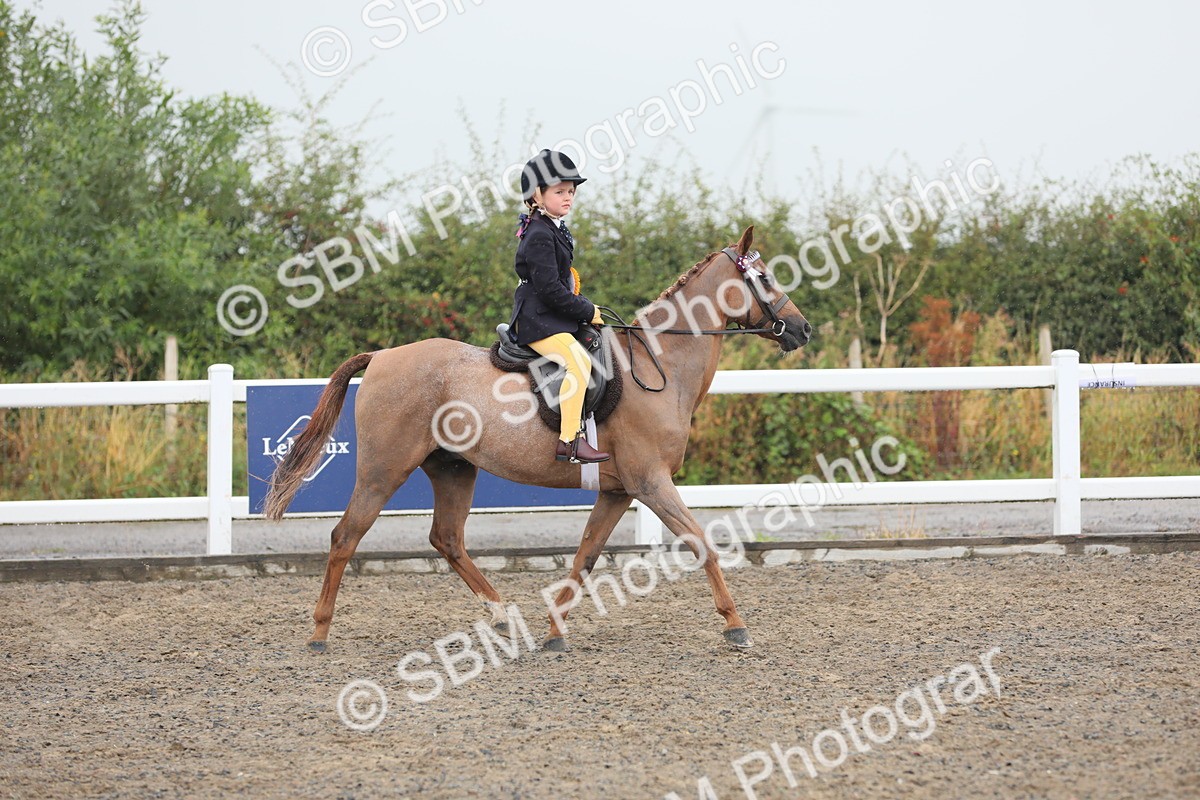 SBM_20655 - Class 804 - Ridden Veteran Pony