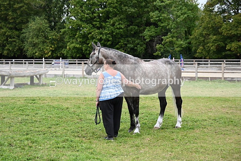 WJ6_2847 - Berks & Bucks - The Old farmhouse - Hound Exercise 20-08-25