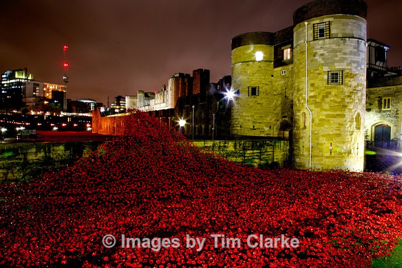 Poppies Tower of London 8618422 - Cityscapes