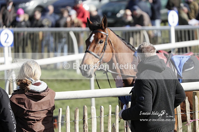 PtP 100423 950 - Old Berkshire Point-to-Point Lockinge 10/04/23