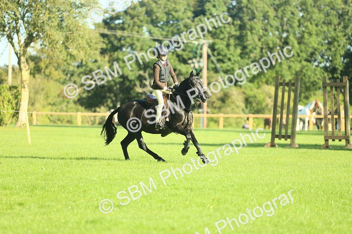 SBM_36311 - S29 - Novice & Newcomers Working Hunter Pony