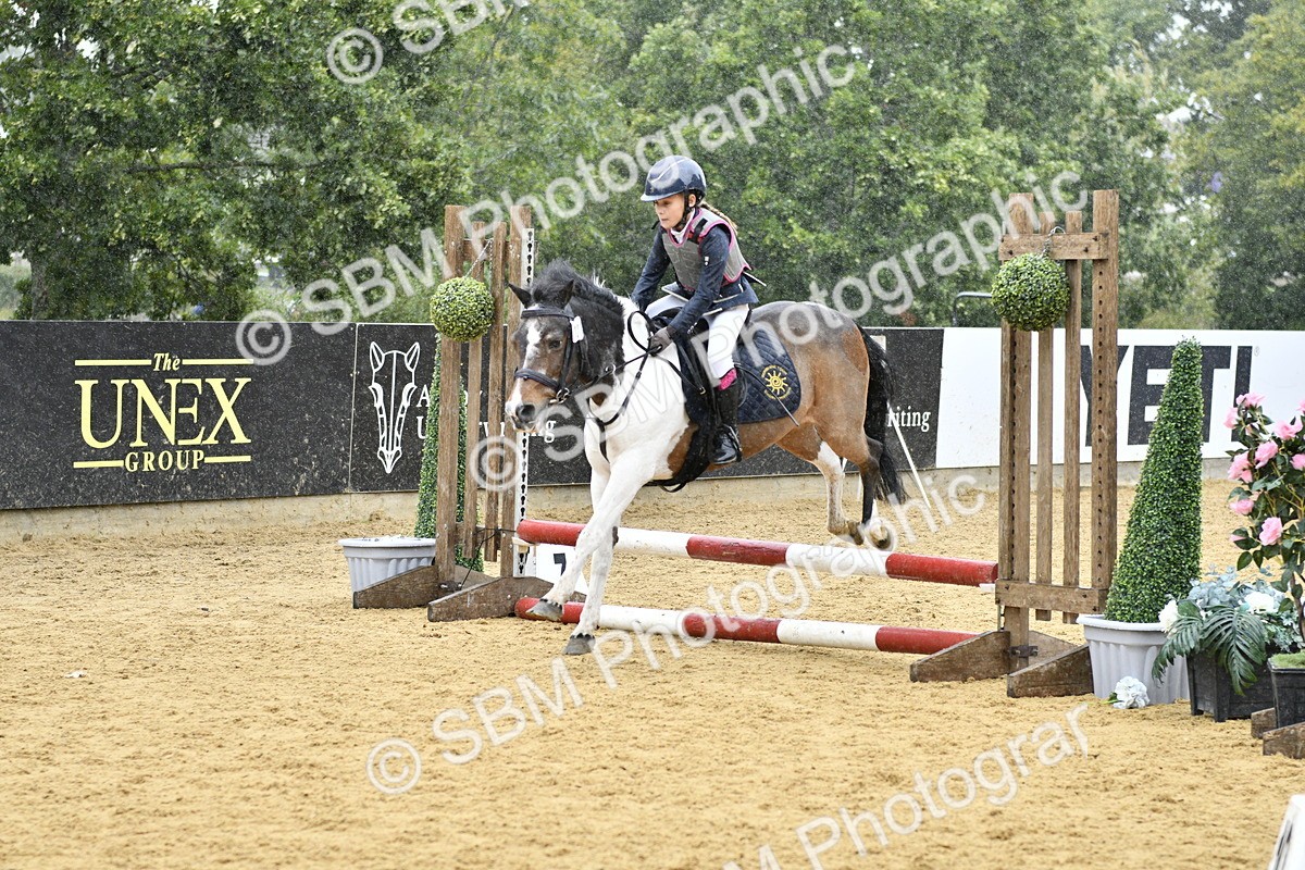 SBM_70781 - J3 - Mini Tour Junior Pony 40cm championship