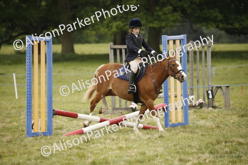 20250517-0772 - Class 2 - 30cm Off Lead Rein