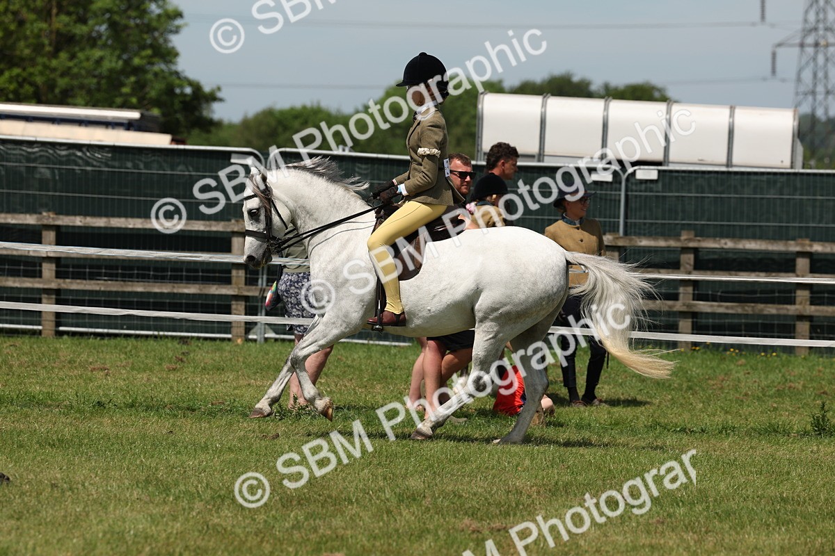 SBM_06762 - Class 26-30 - Mountain and Moorland Ridden