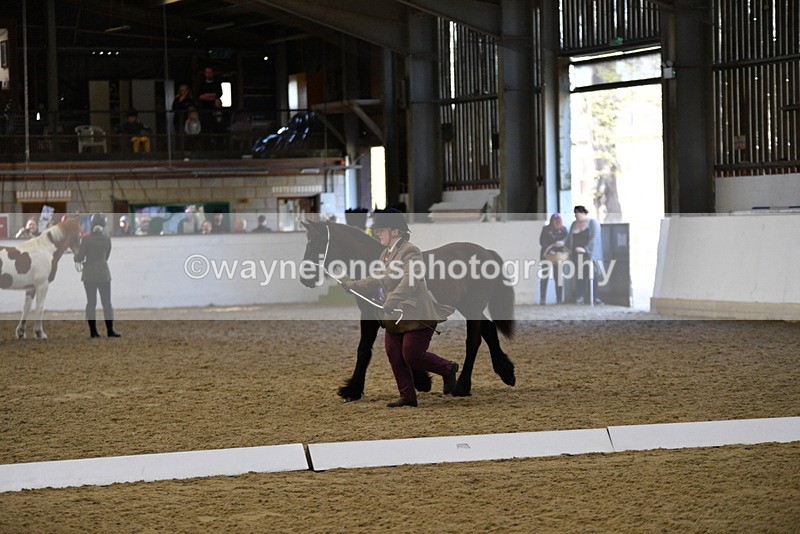 WJ5_3805 - Class 5 In Hand Veterans