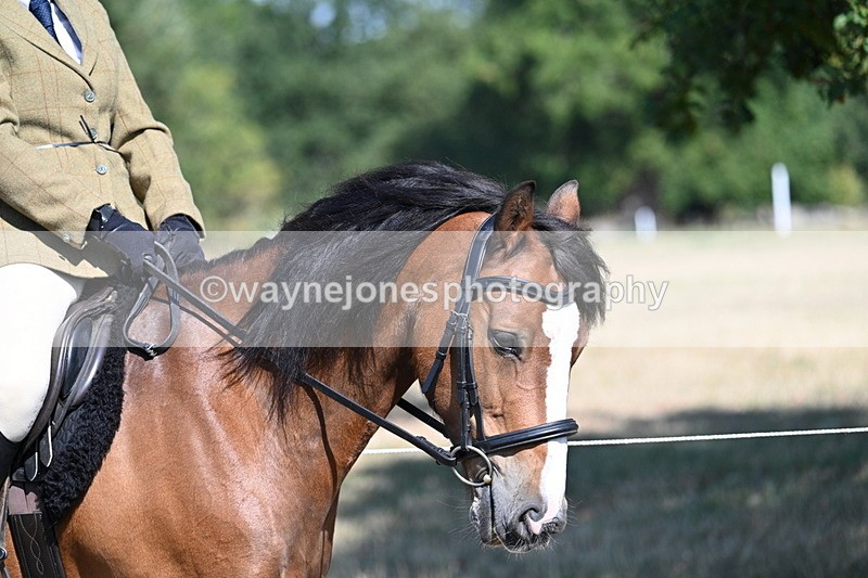 WJ7_3527 - Class 9 Mountain & Moorland Ridden