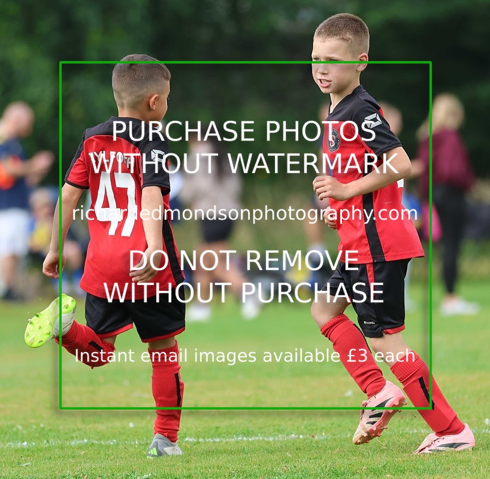 533A3036 - Sedbergh Wanderers (morning Ibis)