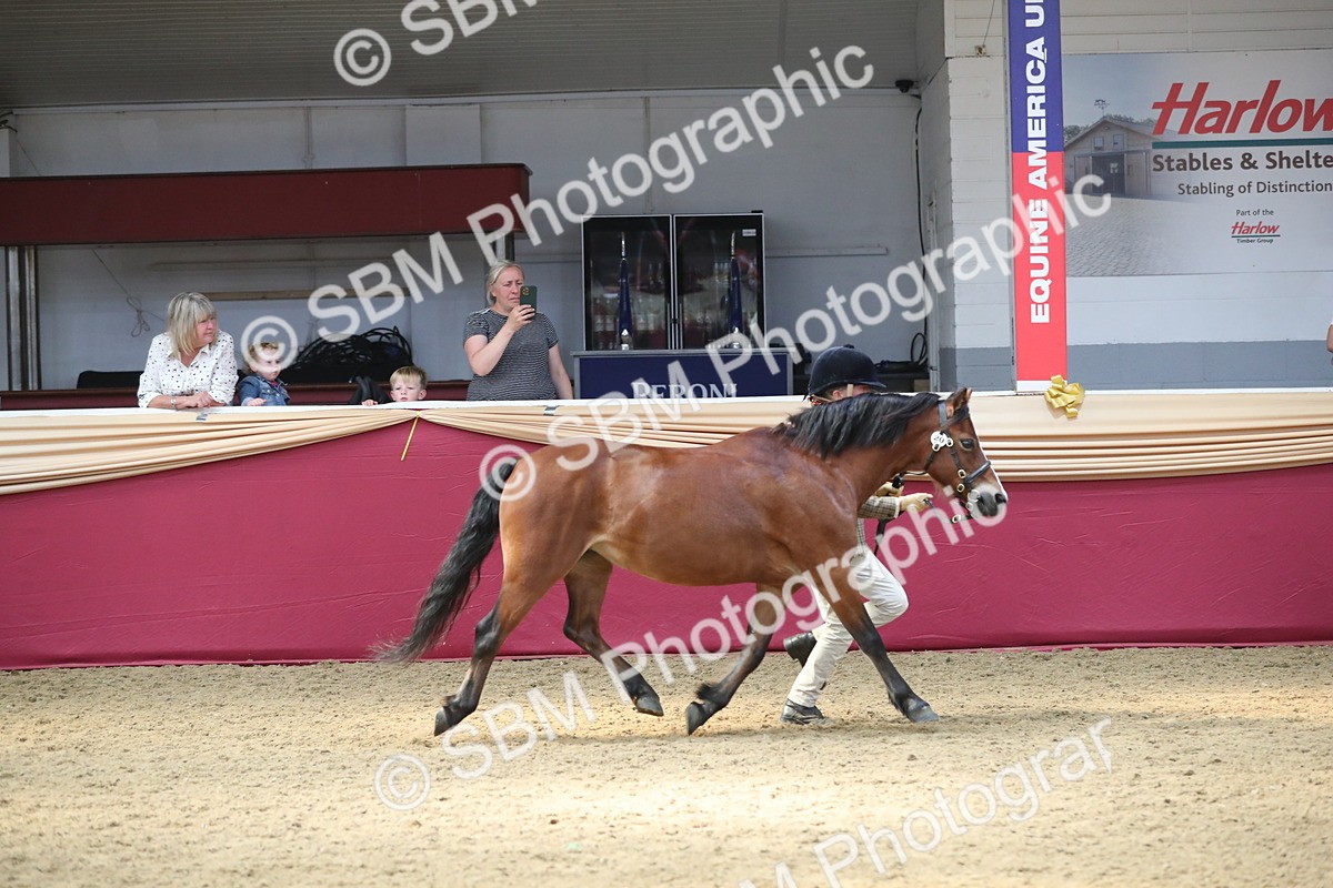 SBM_15307 - Class 501 M&M IH Supreme Final