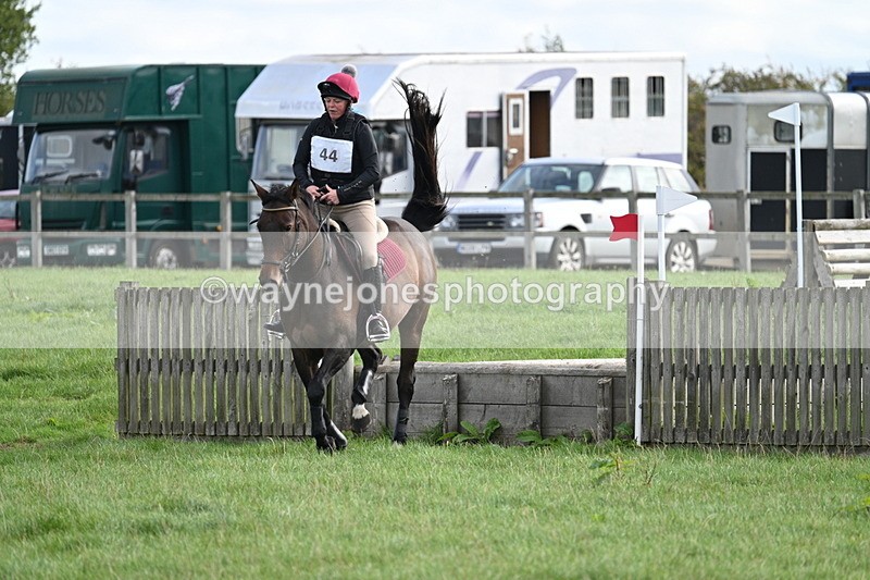 WJ7_8337 - 60cm Pairs