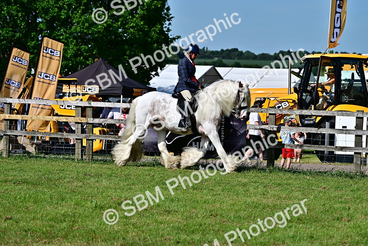 SBM_09470 - Class 63-65 - Traditional Gypsy Cobs In Hand & Ridden