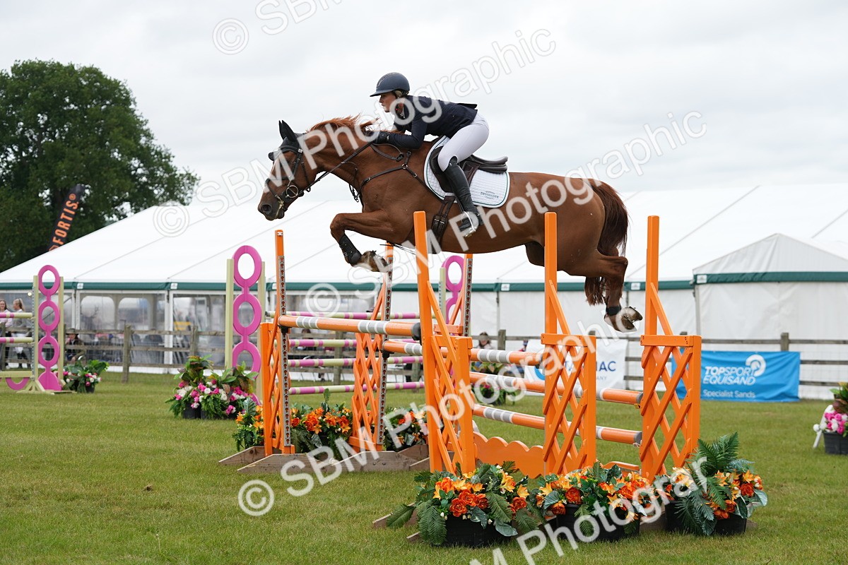 SBM_03234 - Class 201 - British Horse Feeds Speedi Beet Horse of the Year Show Grade  C
