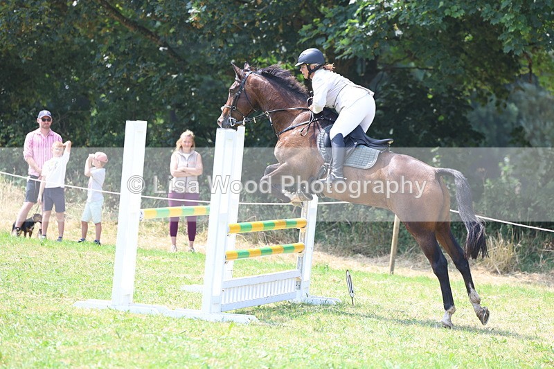 3E7A2864 - Class 7: Senior British Novice/90cm open