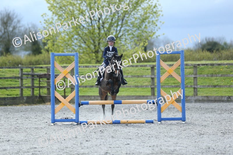 20260412-1805 - Show Jumping