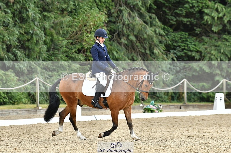 260801A-125629-04100 - Prelim Bronze Break - End