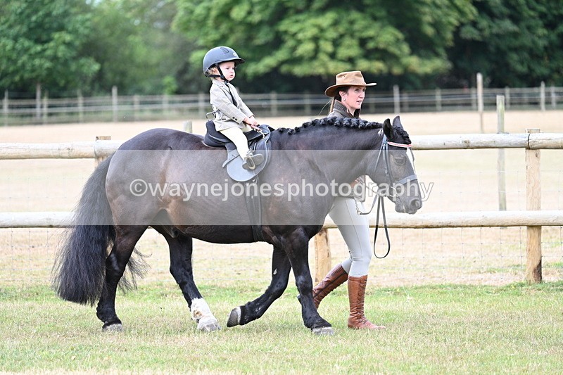 WJ7_9652 - Class 1 Lead Rein Pony