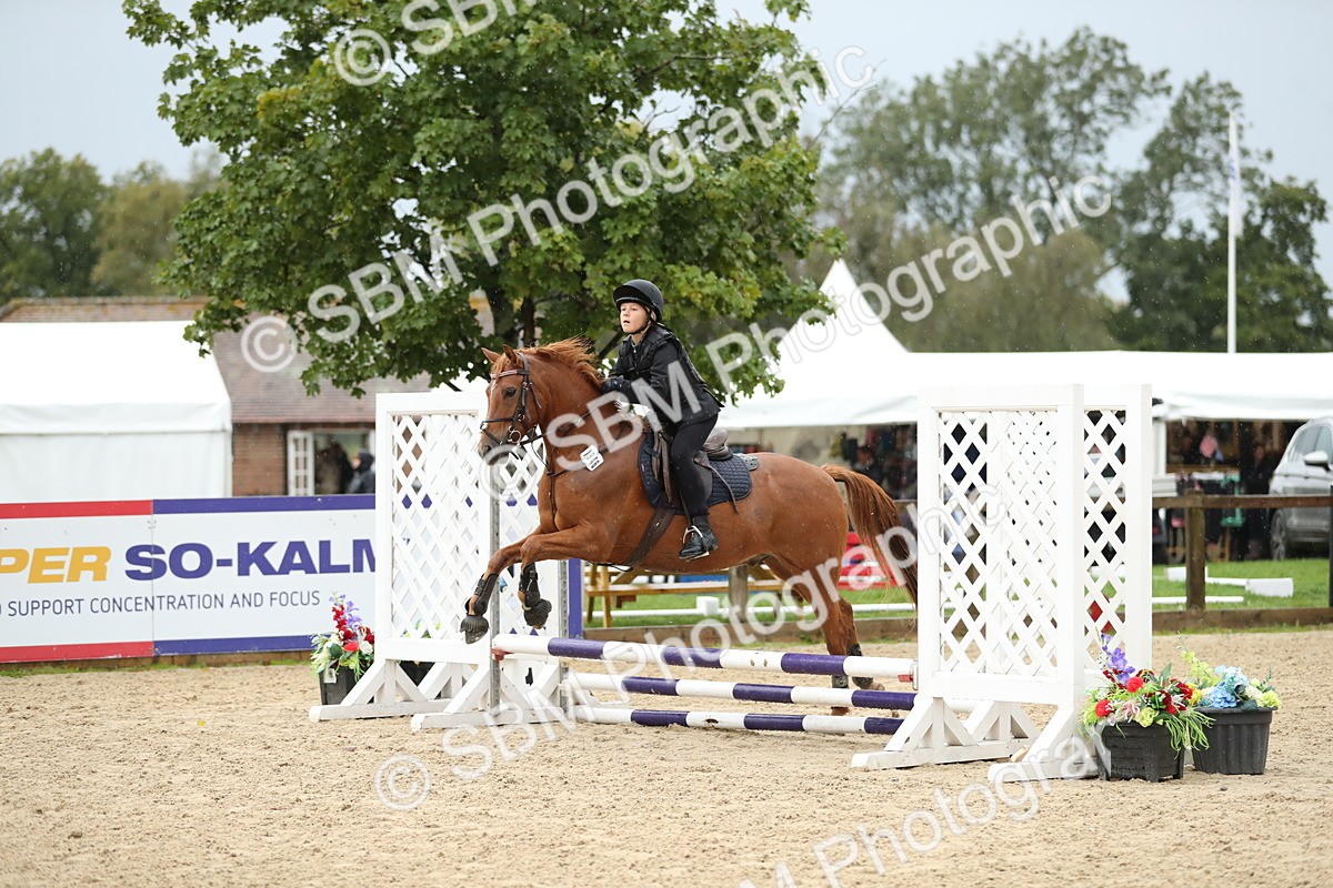 SBM_34388 - J60 Clear Round 50cm