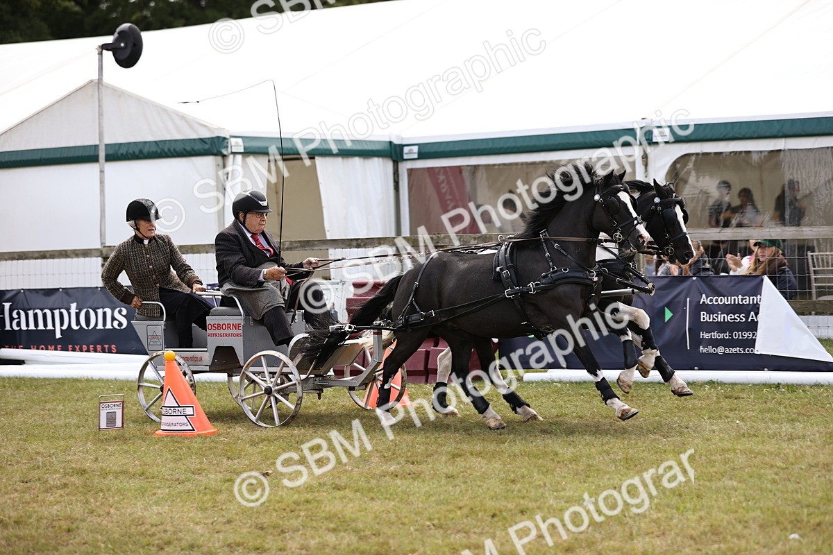 SBM_16073 - Class 91 - Scurry  exceeding 122cms