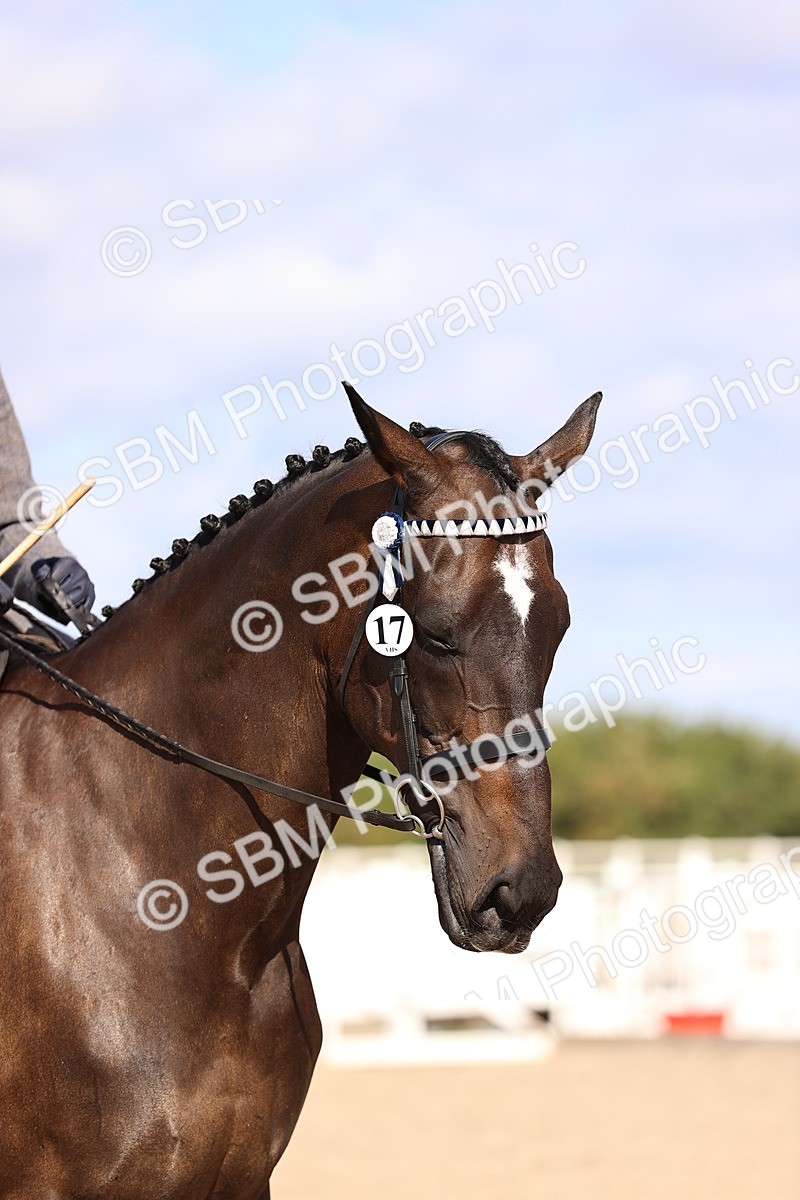 SBM_11641 - Class 408 - Grassroots Ridden - Walk & Trot