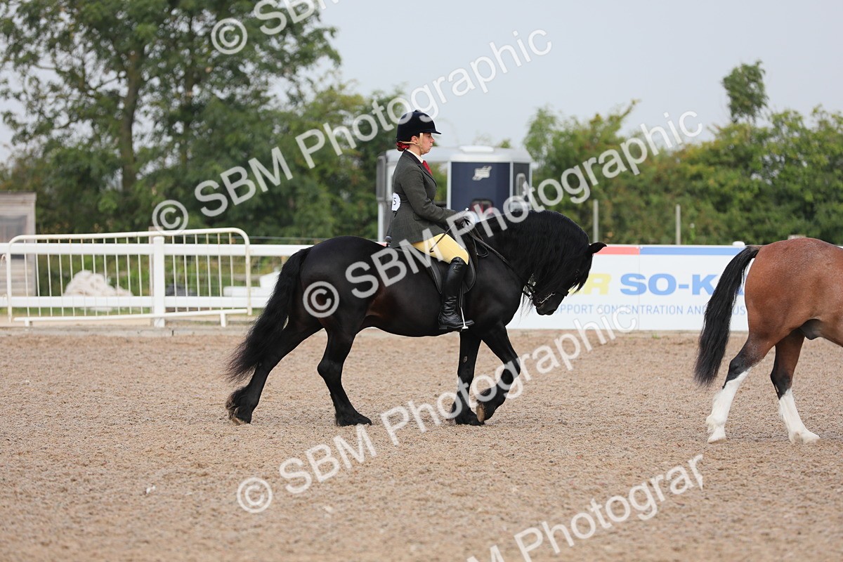 SBM_09968 - Class 302 Ridden M&M -Large Breeds