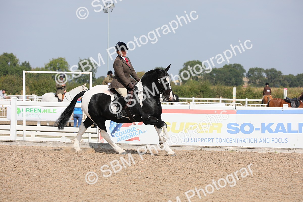 SBM_13492 - Class 308 Ridden Coloured Horse