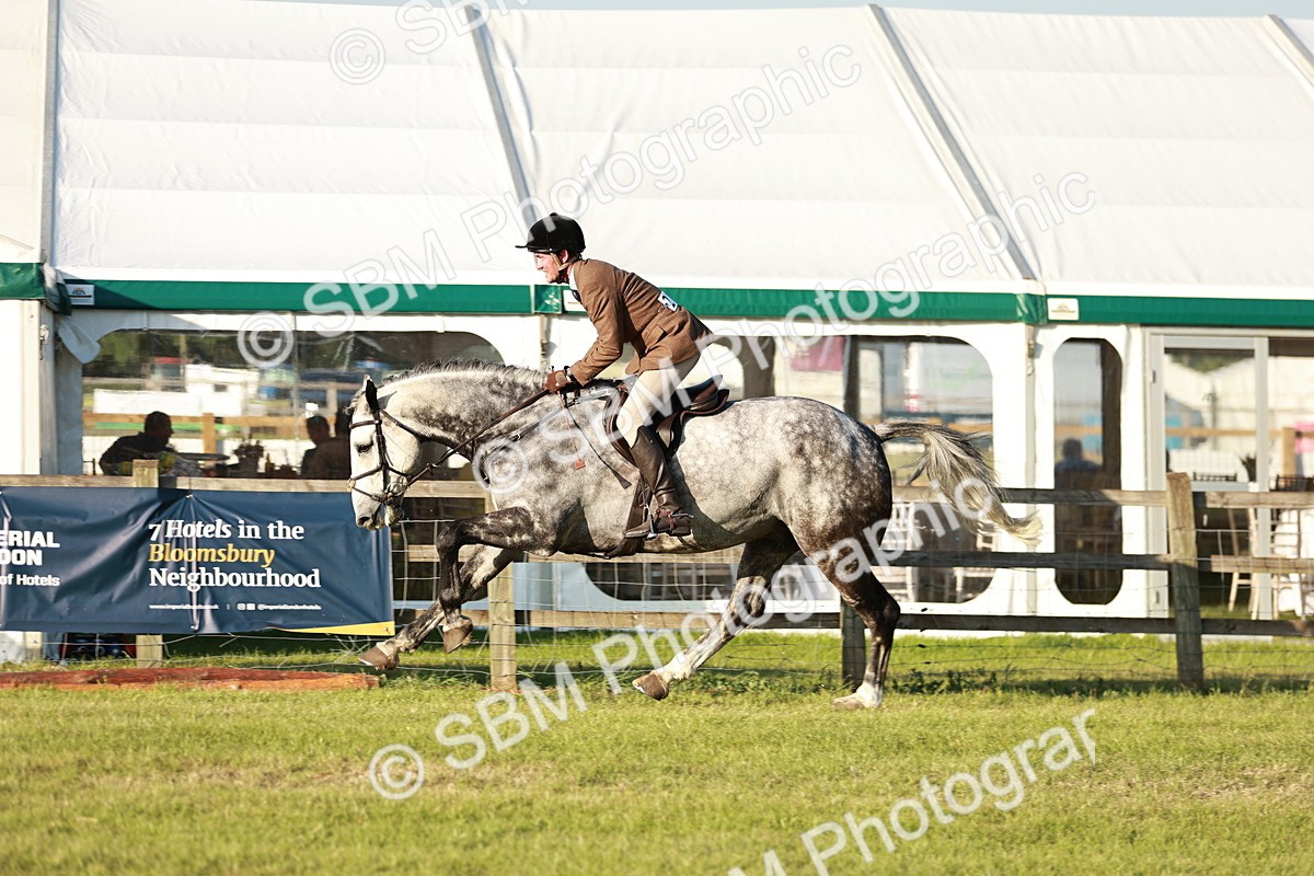 SBM_20493 - Class 117-119 - Sport Horse Working Hunter