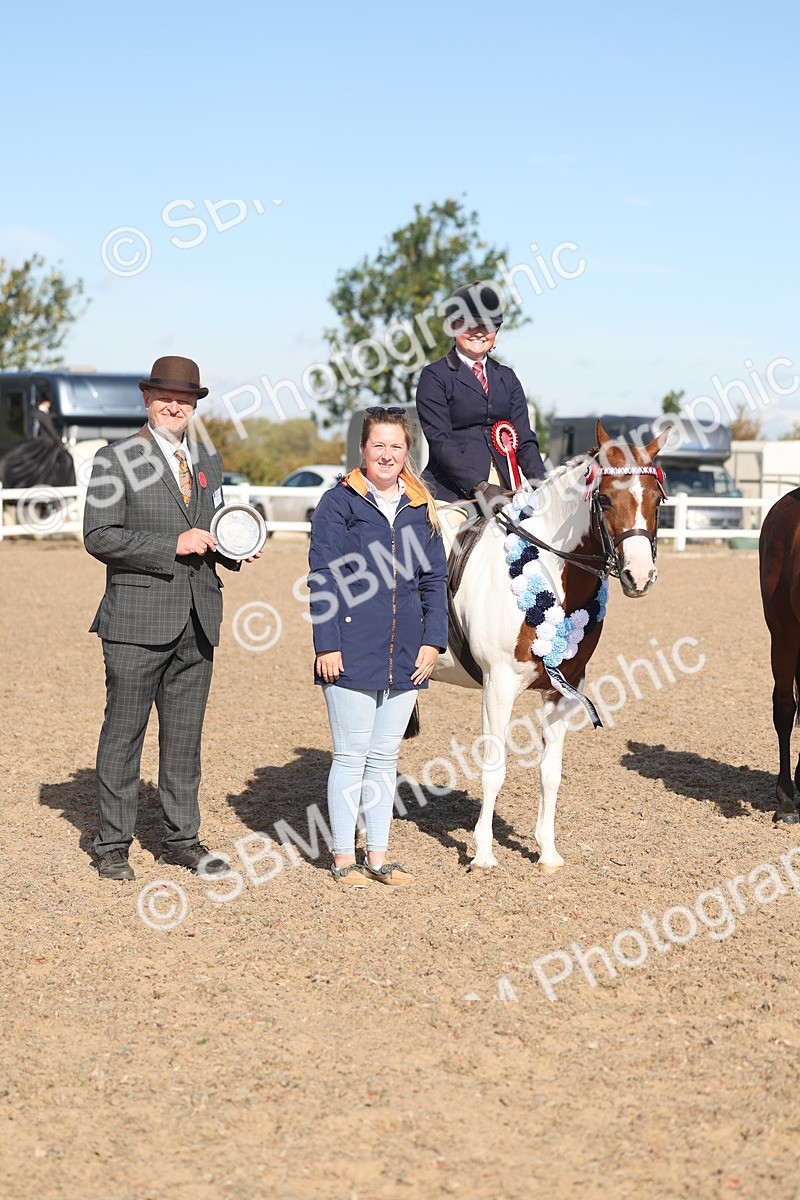 SBM_12395 - Class 304 - Ridden part Bred Horse Pony