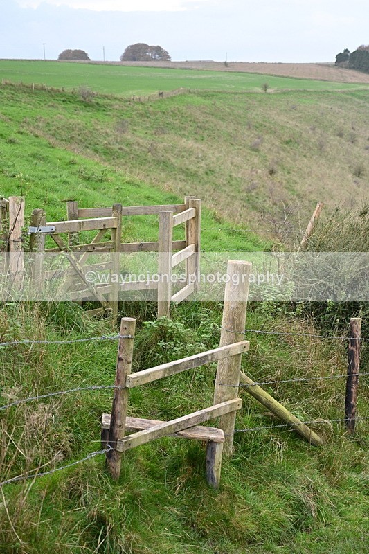 WJ7_9711 - Camera 1 & Last fence