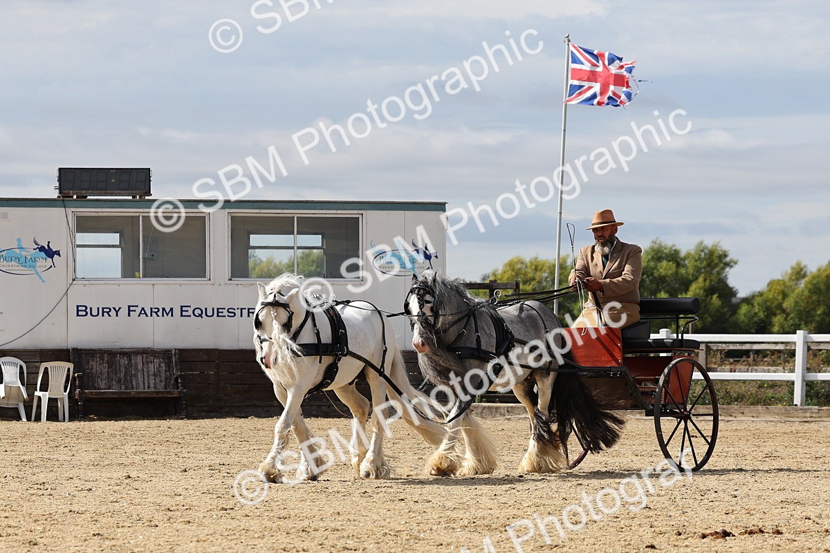 SBM_001233 - Class 16 - Pairs ,Multiples and Tandems