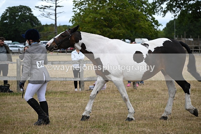 WJ6_8290 - Class 10 Coloured in Hand