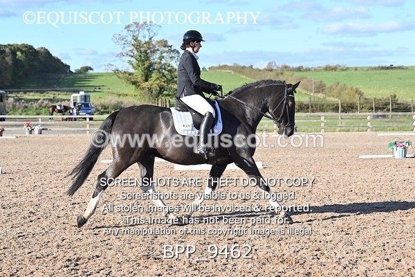BPP_9462 - LONG ARENA