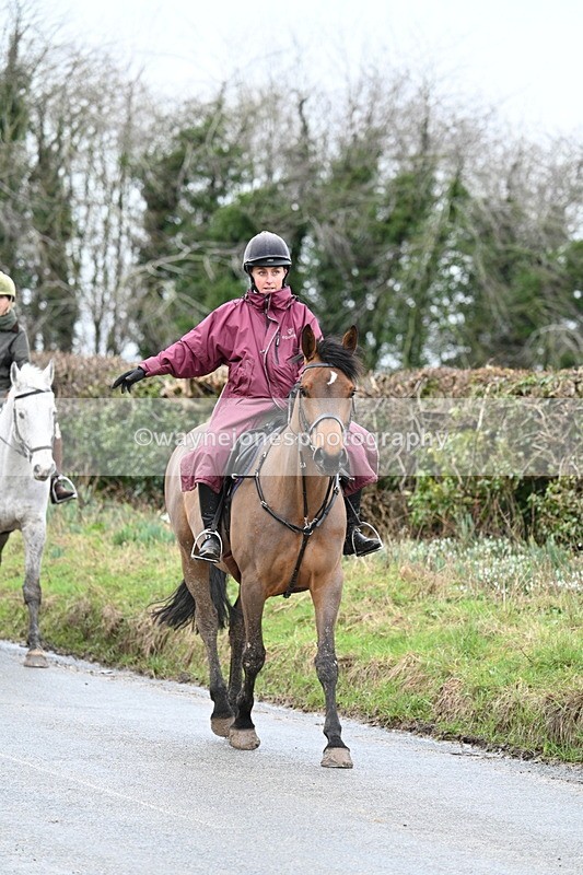 WJ7_8880 - Berks & Bucks - Rowles Farm 15-02-26