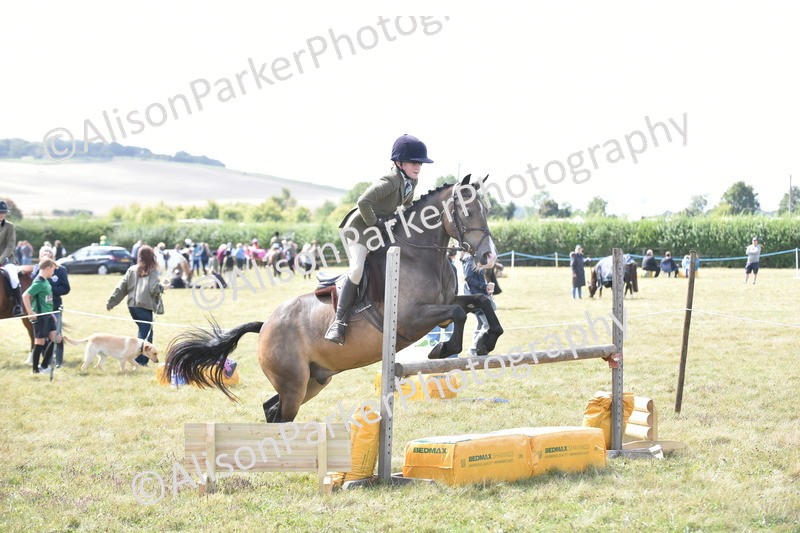 20250831-4103 - Class 13 - Working Hunter Horse or Pony