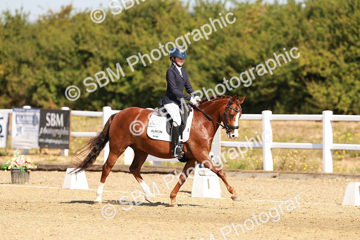 SBM_016828 - Class 9 - N5 Bronze 9.30.10.19