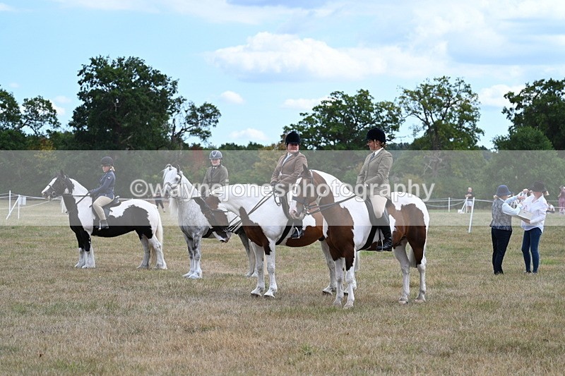WJ7_5493 - Class 12 Ridden Cob