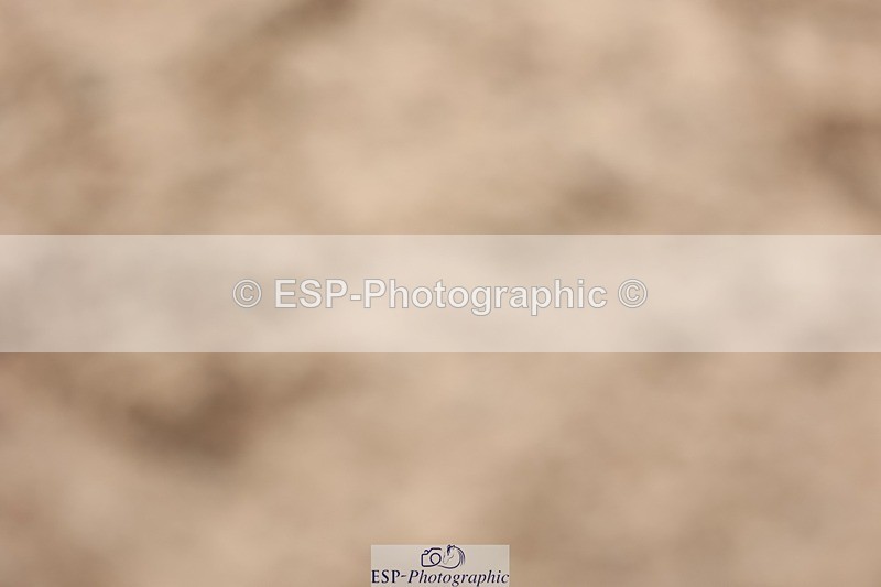 250629-101454-10430 - Cls 27 A&B Winter Summer 128cm & 138cm