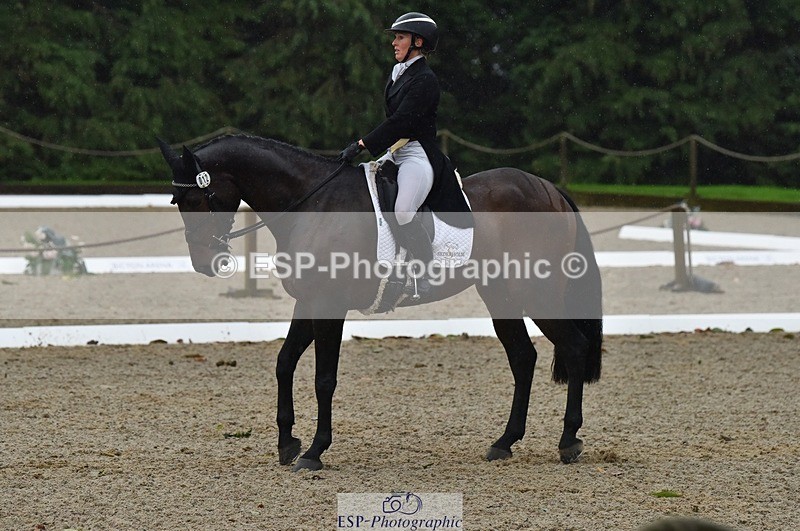 231018-154628-00875 - 012-ROMANY.CRICKET-Nana.Dalton-DR