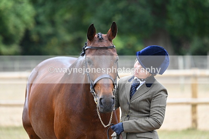 WJ7_9226 - Class 4a Prettiest Mare 14.2hh and over