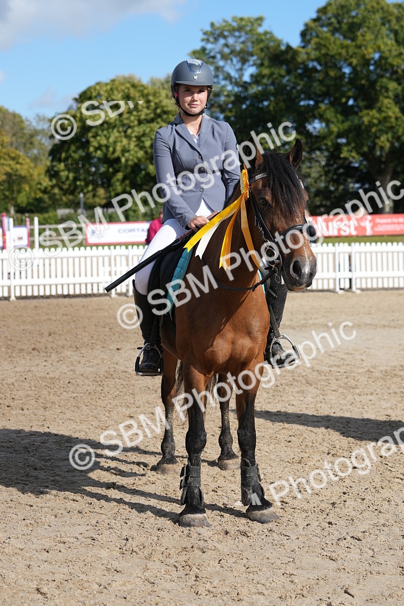 SBM_48625 - J7 - Junior Pony 60cm Championship