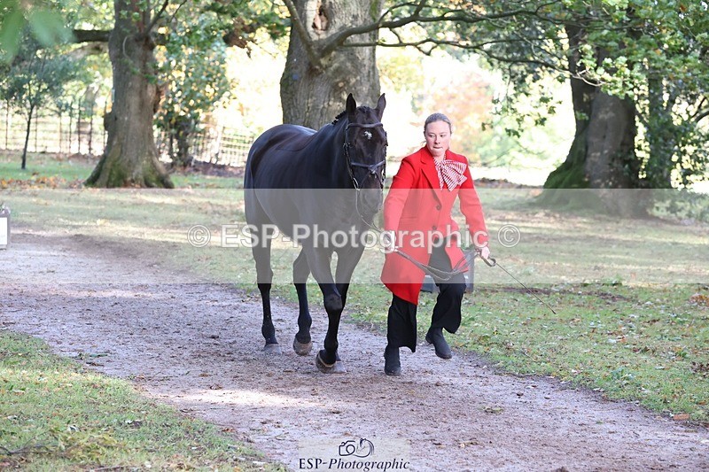 261025A-103938-24715 - 3DE Unknown riders - Trot Up