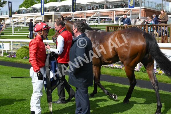 yr22052021r4-56 - Race 4 3.50pm WilliamHill.com Best Odds Guaranteed Stakes