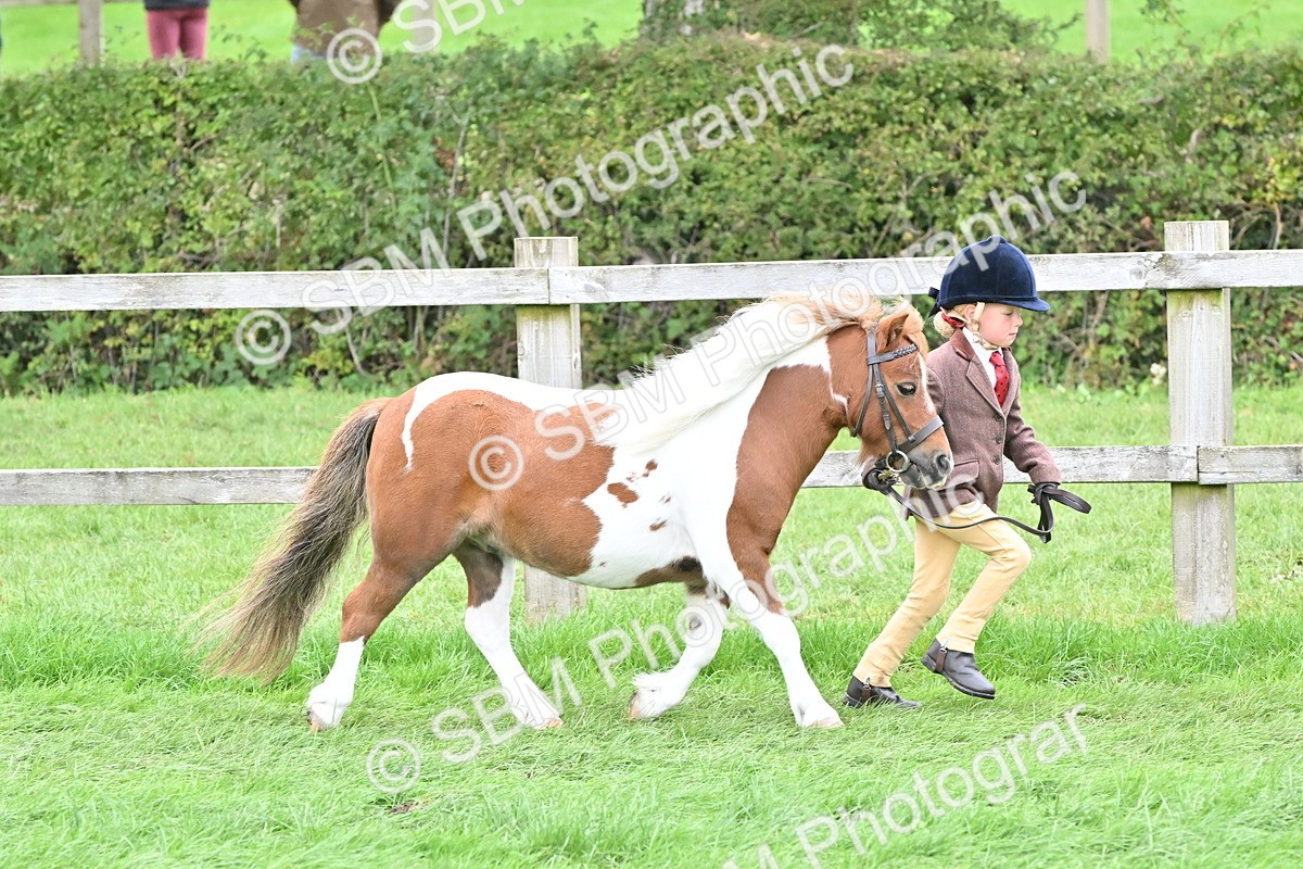 SBM_66777 - S41 - Junior Handler 8 Years & Under