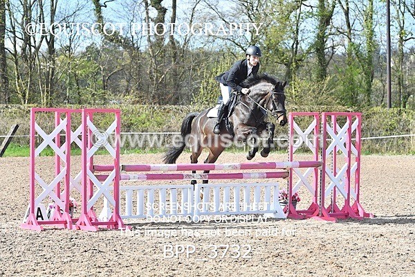 BPP_3732 - CLASS 3 FRI Senior British Novice/ 90cm Open