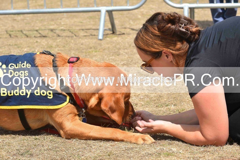 SH4_0234 - Dog show.
