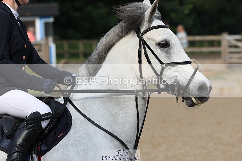 230617-084023-00323 - Cls 08a Pony 1.05