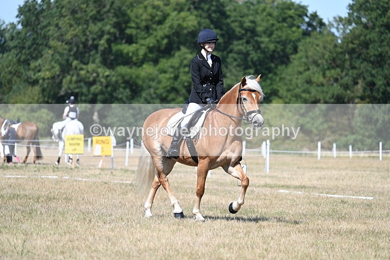 WJ7_0247 - Time 11:33 to 11:44