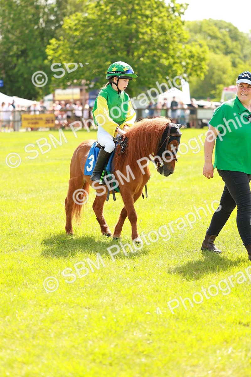SBM_04364 - Shetland Grand National