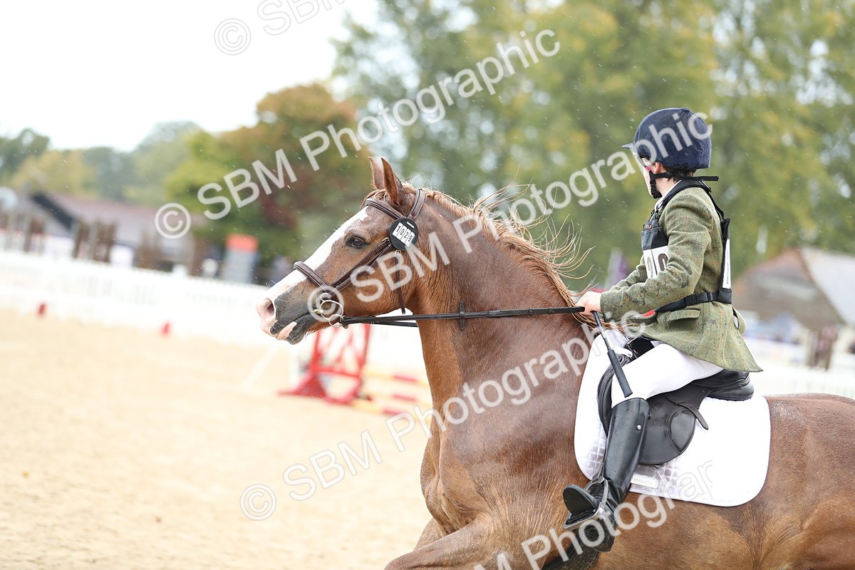 SBM_37198 - J20 - Junior Horse 50cm Championship